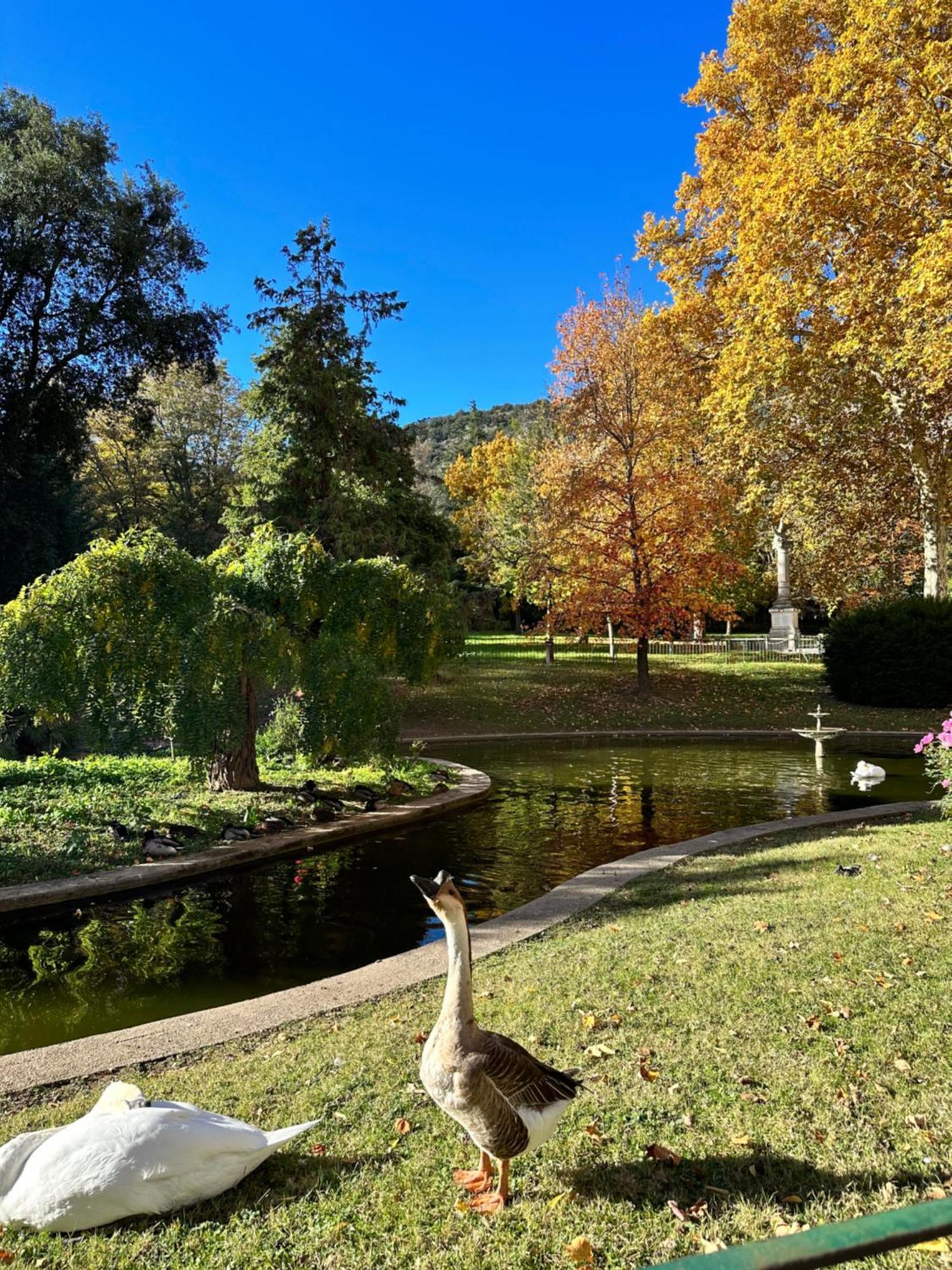 Апартаменты Le Perchoir Du Parc Coeur Historique Андюз Экстерьер фото